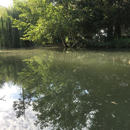 Moulin De Coupigny Villa Fontenille-Saint-Martin-d'Entraigues Ngoại thất bức ảnh
