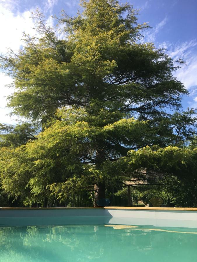 Moulin De Coupigny Villa Fontenille-Saint-Martin-d'Entraigues Ngoại thất bức ảnh